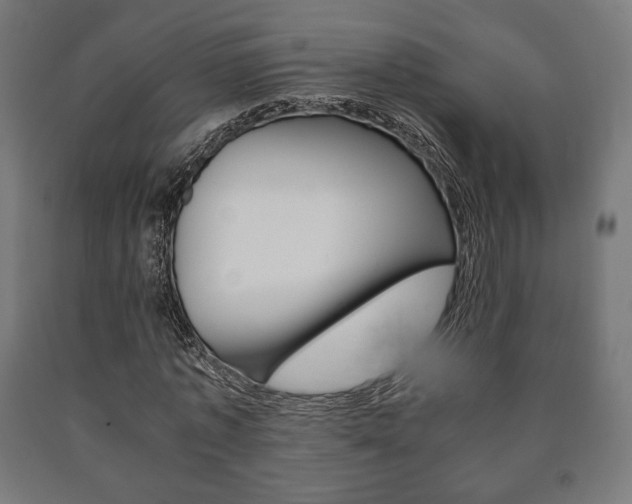X0000090990773200708021203
