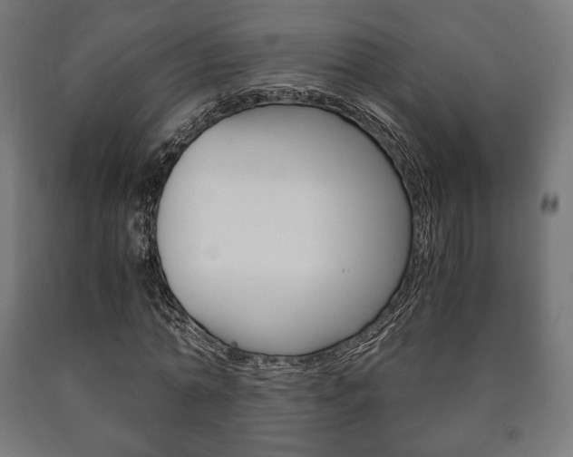 X0000090990774200708021203