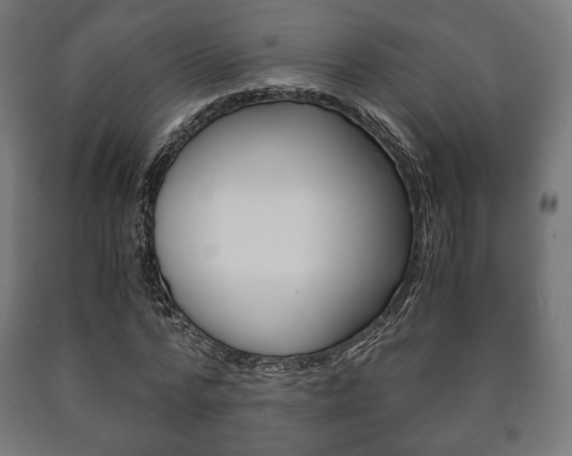 X0000090990776200708021203