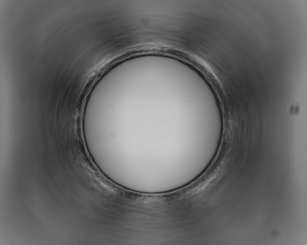 X0000090990778200708021203