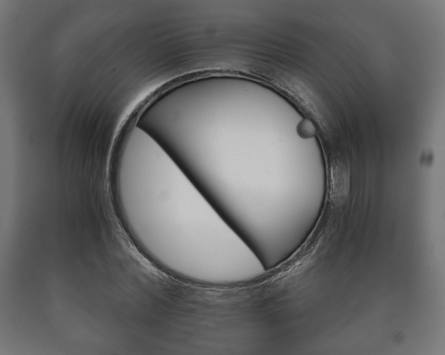 X0000090990780200708021203