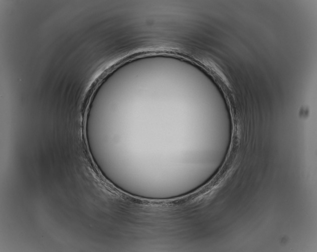 X0000090990781200708021203