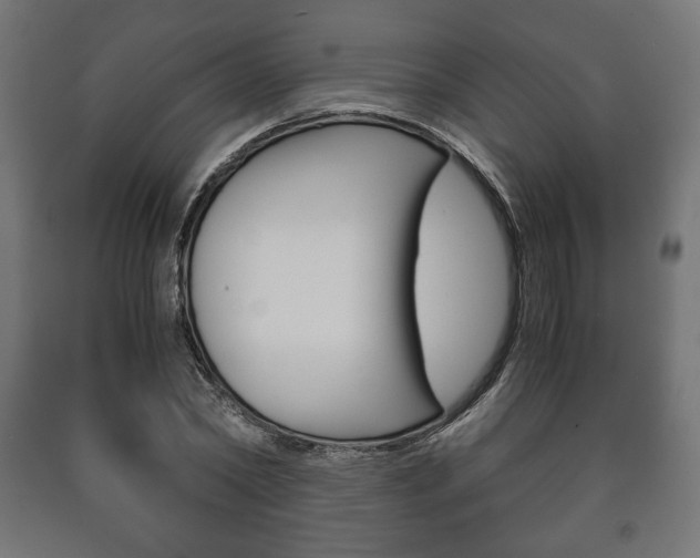 X0000090990782200708021202