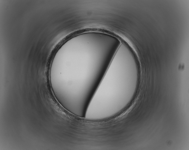 X0000090990783200708021202