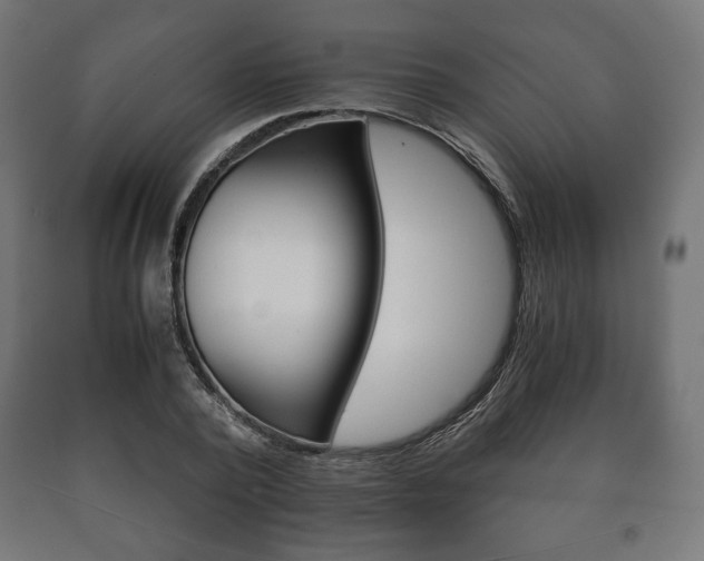 X0000090990784200708021202