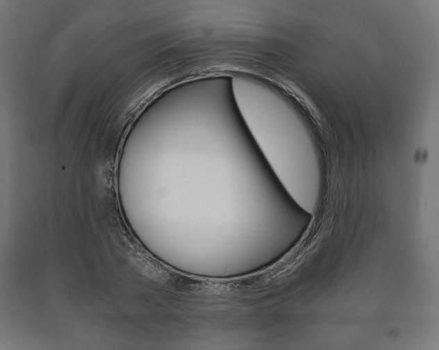 X0000090990785200708021202