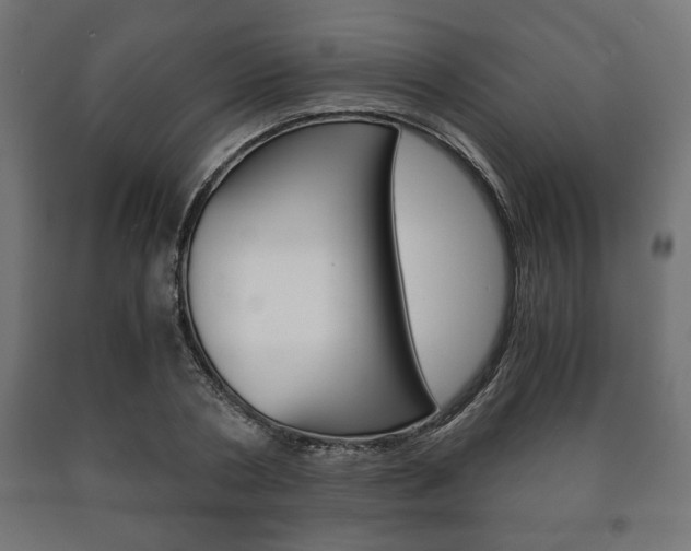 X0000090990786200708021202