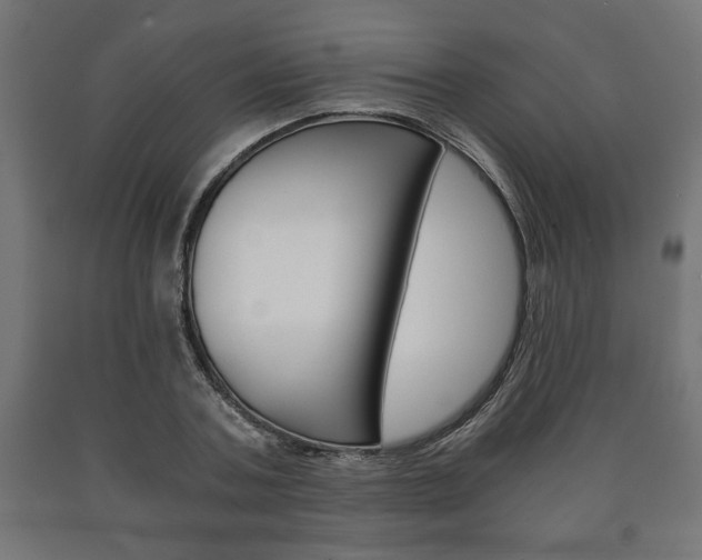 X0000090990787200708021202