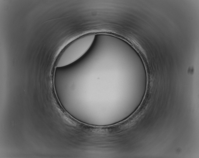 X0000090990789200708021202