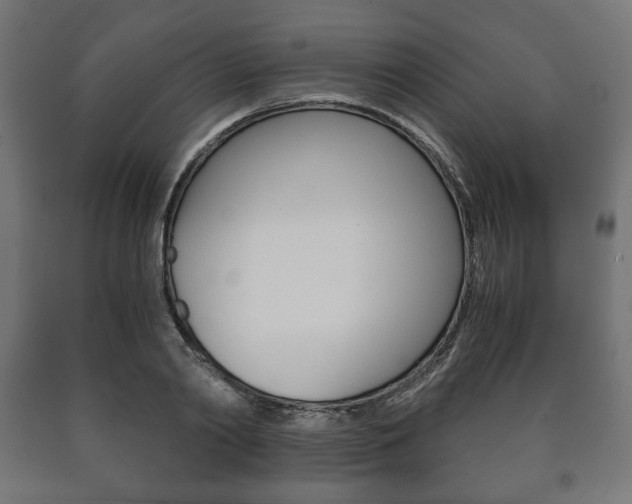 X0000090990790200708021202