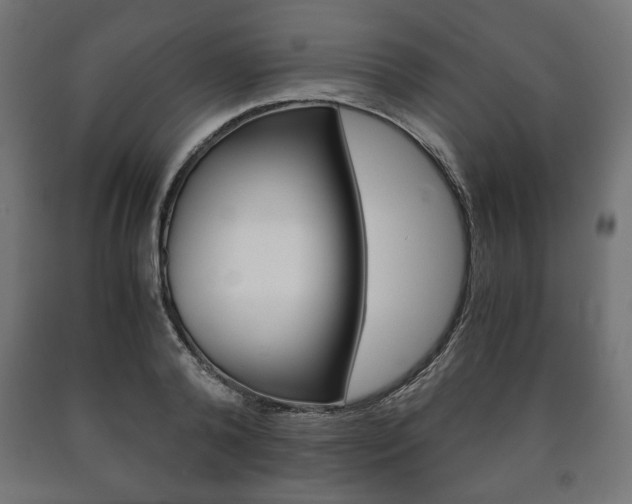 X0000090990792200708021202