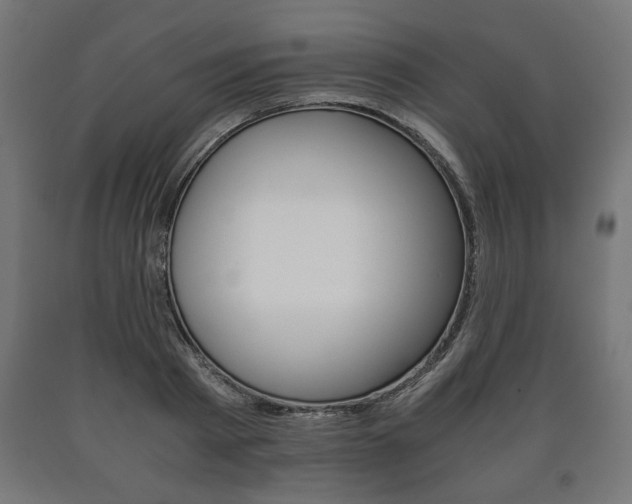 X0000090990793200708021202