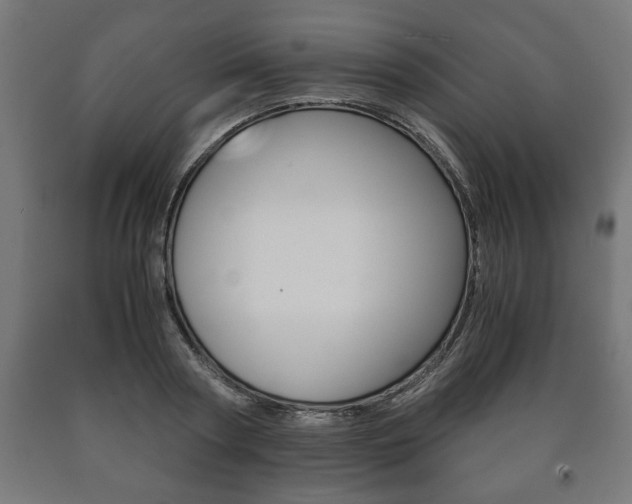 X0000090990794200708021202