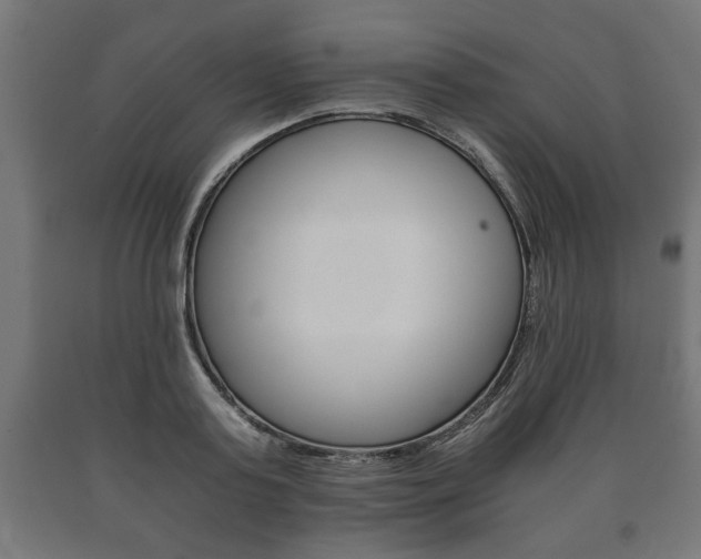 X0000090990795200708021202