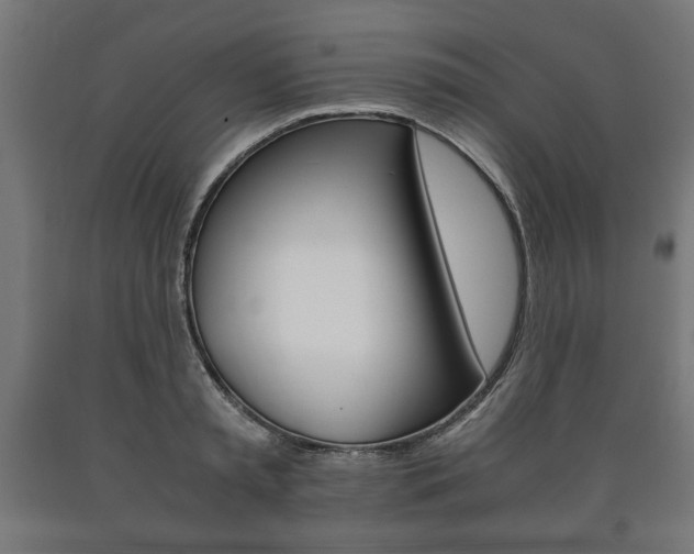 X0000090990797200708021202