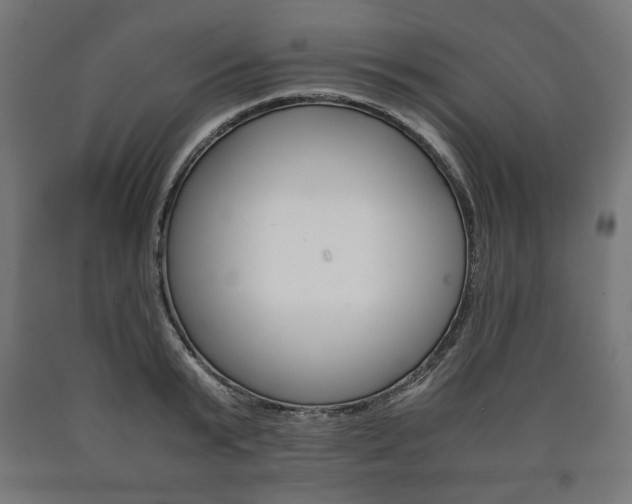 X0000090990799200708021202