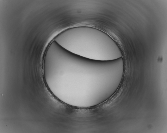 X0000090990800200708021202