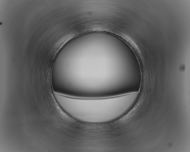 X0000090990801200708021202