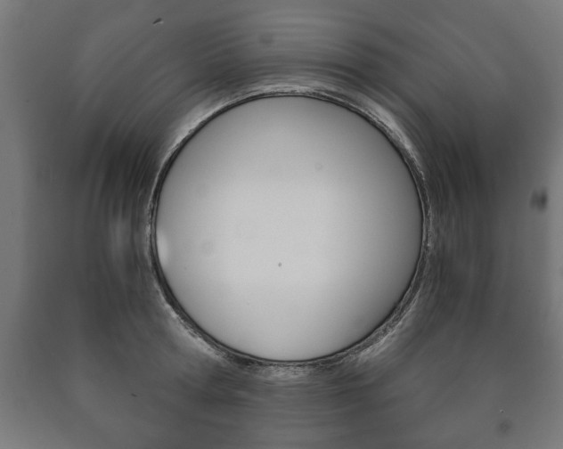 X0000090990802200708021202