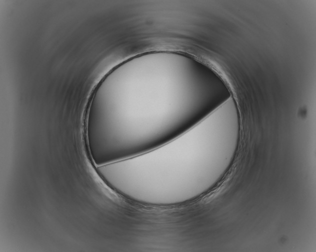 X0000090990803200708021202