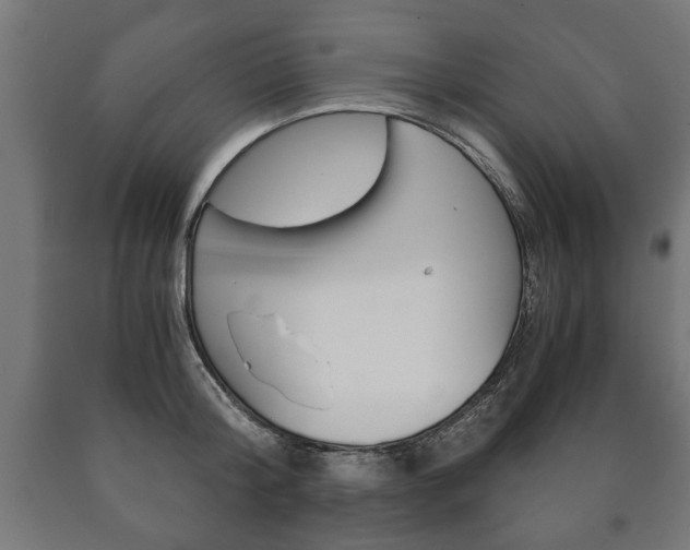 X0000090990804200708021202