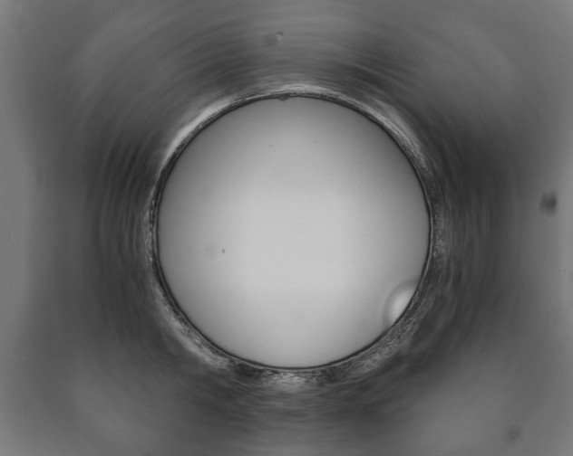 X0000090990806200708021202