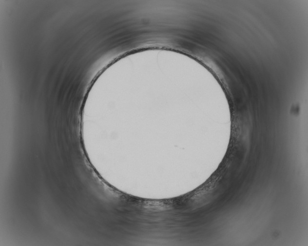 X0000090990807200708021202