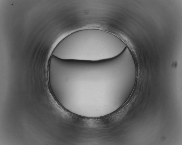 X0000090990808200708021202