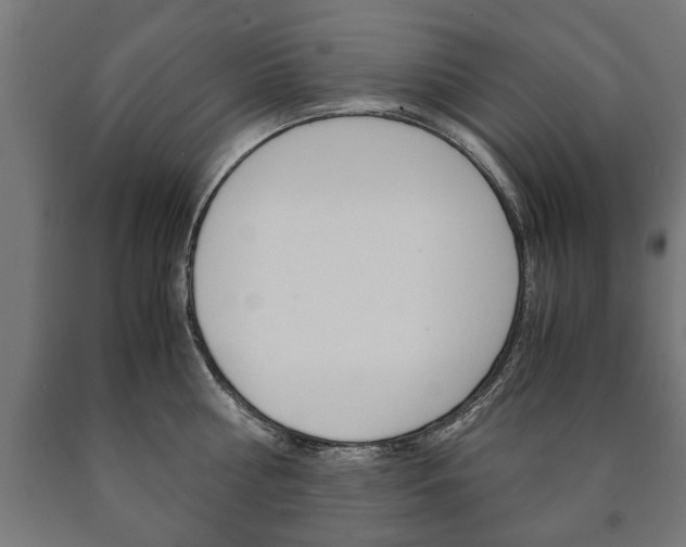 X0000090990810200708021202
