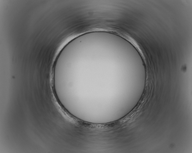 X0000090990811200708021202