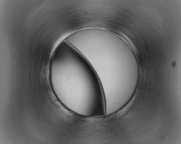 X0000090990812200708021202