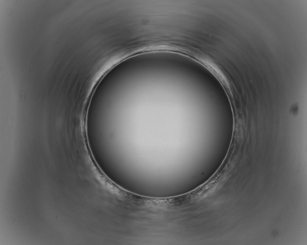 X0000090990813200708021202