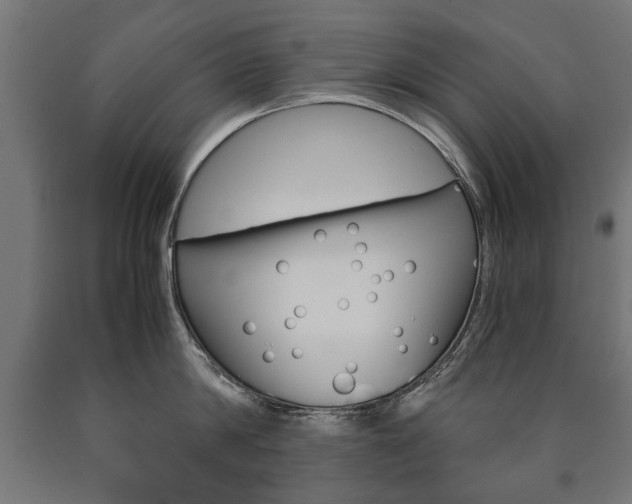 X0000090990814200708021202