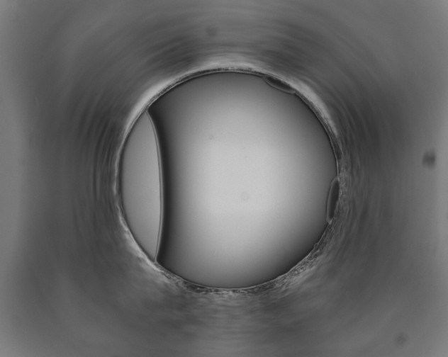 X0000090990815200708021202