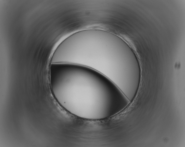 X0000090990816200708021202