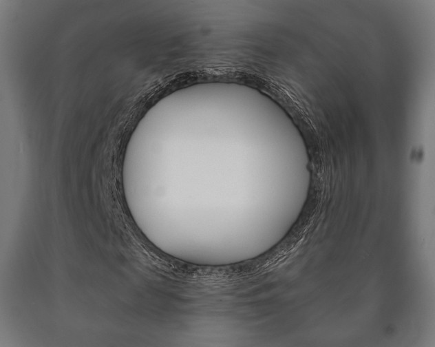 X0000090990817200708021201