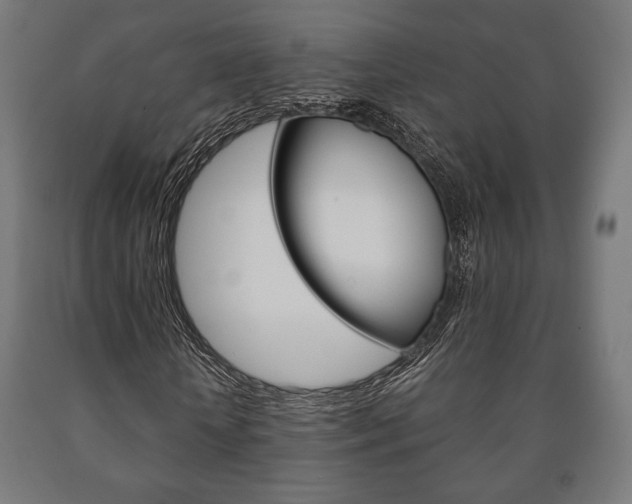 X0000090990818200708021201
