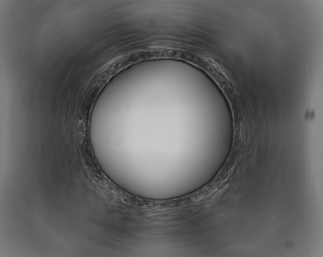 X0000090990821200708021201