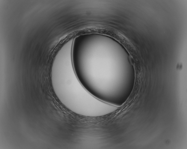 X0000090990822200708021201