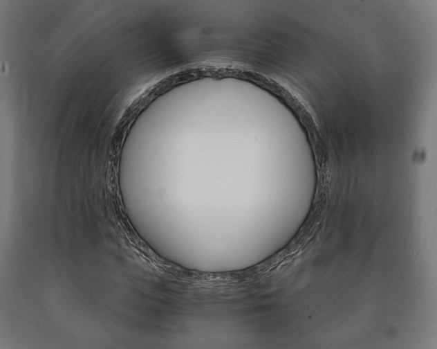 X0000090990823200708021201