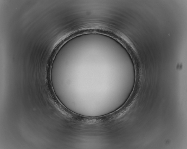 X0000090990826200708021201