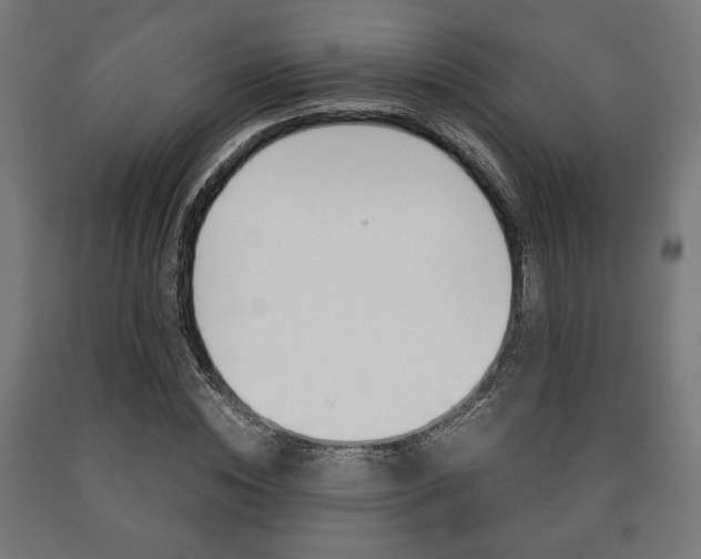 X0000090990828200708021201