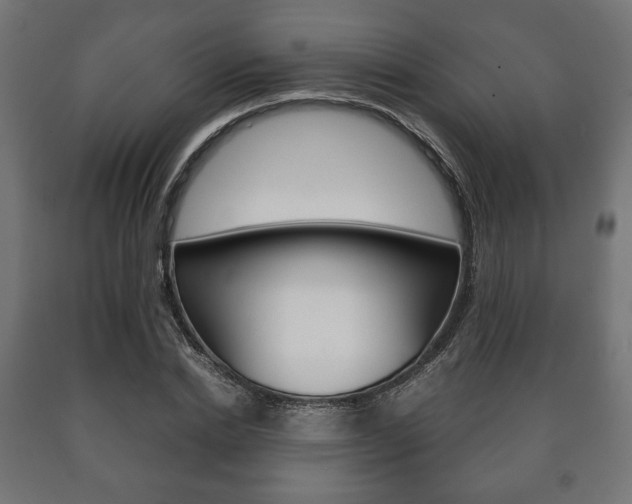 X0000090990830200708021201