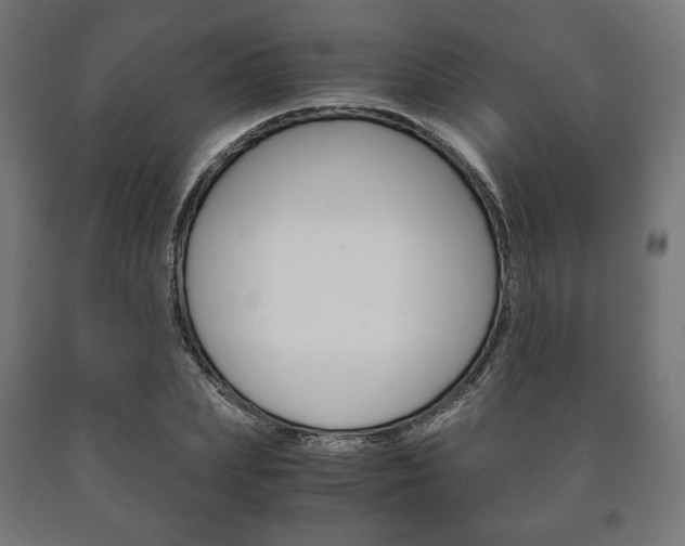 X0000090990831200708021201