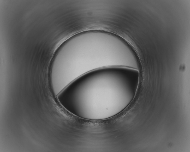 X0000090990834200708021201
