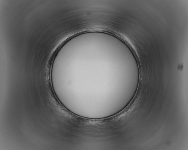 X0000090990835200708021201