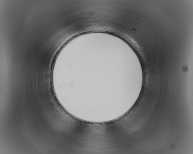 X0000090990836200708021201