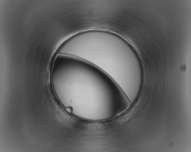 X0000090990838200708021201