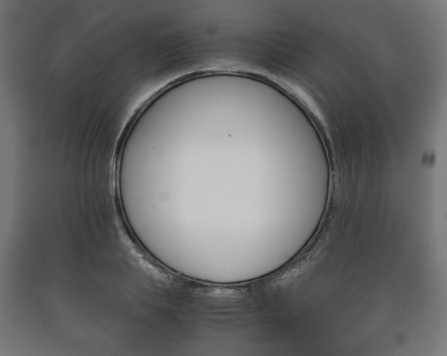 X0000090990839200708021201