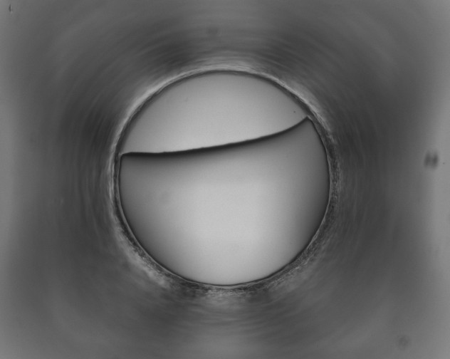 X0000090990840200708021201